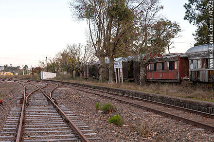 Piedra Sola Train Station. Old tracks and wagons - Department of Paysandú - URUGUAY. Photo #74023