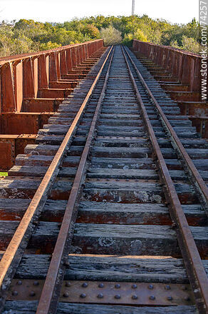 Railroad bridge over Fraile Muerto Creek - Department of Cerro Largo - URUGUAY. Photo #74257