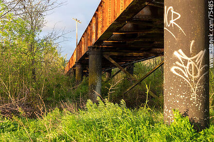 Antiguo puente ferroviario sobre el camino Río Viejo en el límite de Florida con Canelones próximo a San Ramón - Departamento de Canelones - URUGUAY. Foto No. 75485