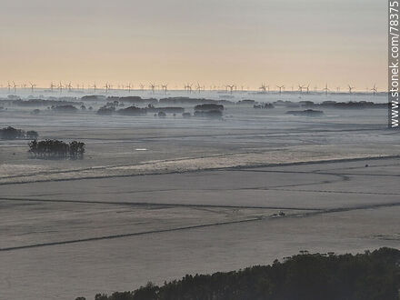 Morning aerial view of the mist over the Brazilian far countryside and a large windmill farm. - Department of Rocha - URUGUAY. Photo #78375