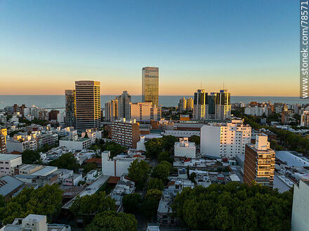 Aerial view of the towers and buildings at sunset - Department of Montevideo - URUGUAY. Photo #78571