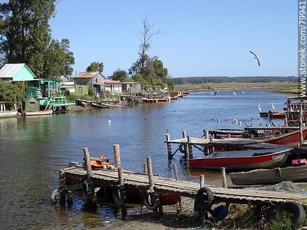 Muelles y aves a la espera de pescar algo - Departamento de Rocha - URUGUAY. Foto No. 79941