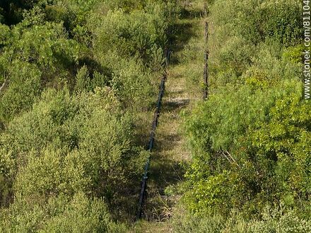Vista aérea de un canal entre los arbustos donde se esconden las vías de lo que una vez fue la estación Rivas - Departamento de Paysandú - URUGUAY. Foto No. 81104
