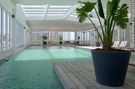 Indoor swimming pool -  - MORE IMAGES. Photo #81425