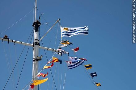 Uruguayan and nautical flags - Department of Montevideo - URUGUAY. Photo #81475