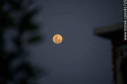 Luna llena -  - MORE IMAGES. Photo #81725
