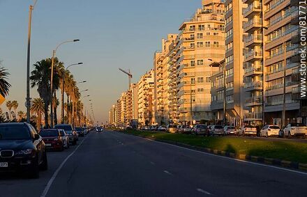 Rambla de Punta Carretas al amanecer - Departamento de Montevideo - URUGUAY. Foto No. 81771