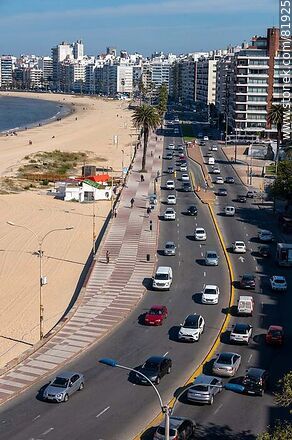 Pocitos Promenade from the top of a building - Department of Montevideo - URUGUAY. Photo #81925