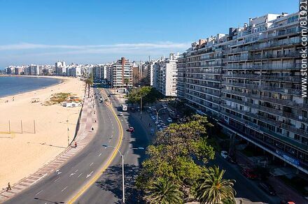 Rambla de Pocitos desde lo alto de un edificio - Departamento de Montevideo - URUGUAY. Foto No. 81921