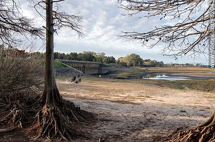 The nearly dry reservoir of Canelón Grande Creek during the drought of 2023. People strolling where the water normally is. - Department of Canelones - URUGUAY. Photo #82043