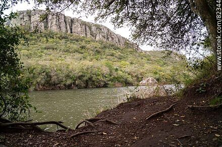 Trails along the Santa Lucía River in the Laguna de los Cuervos (Crows Lagoon) - Lavalleja - URUGUAY. Photo #82344