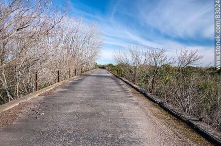 Old Route 3 bridge over Chamizo Creek - San José - URUGUAY. Photo #83024