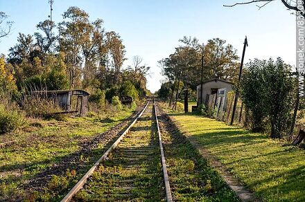 Estación de trenes de Piedras Coloradas. Vías hacia Paysandú - Departamento de Paysandú - URUGUAY. Foto No. 83309