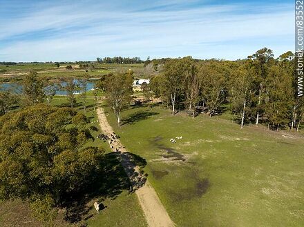 Aerial view of the Tálice ecopark - Flores - URUGUAY. Photo #83552