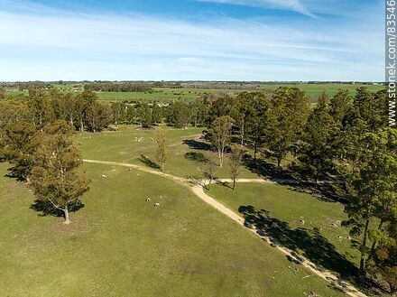 Aerial view of the Tálice ecopark - Flores - URUGUAY. Photo #83546