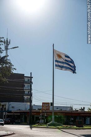 Bandera uruguaya - Departamento de Artigas - URUGUAY. Foto No. 83677