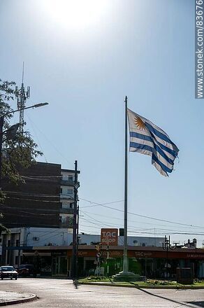 Uruguayan flag - Artigas - URUGUAY. Photo #83676