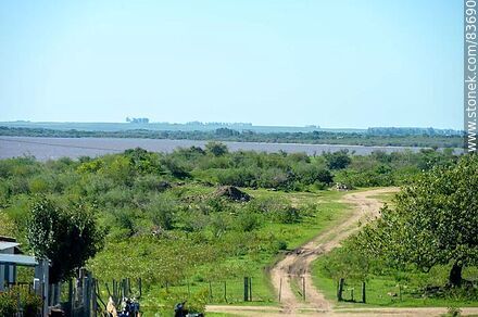 Costa sobre el río Uruguay - Departamento de Salto - URUGUAY. Foto No. 83690