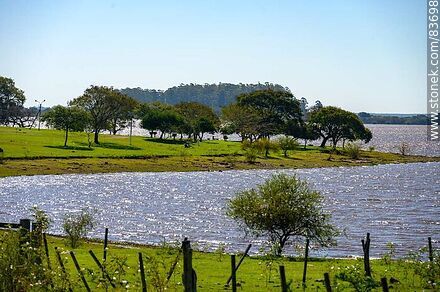 Costa sobre el río Uruguay - Departamento de Salto - URUGUAY. Foto No. 83698