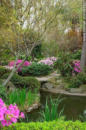 Spring in the Japanese Garden - Department of Montevideo - URUGUAY. Photo #83937