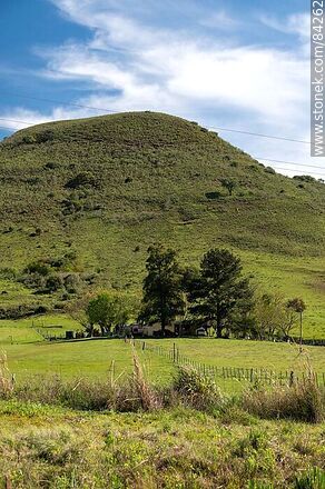 Hills of the Cuchilla de Haedo in the Repecho de Pena on Route 30 - Department of Rivera - URUGUAY. Photo #84262