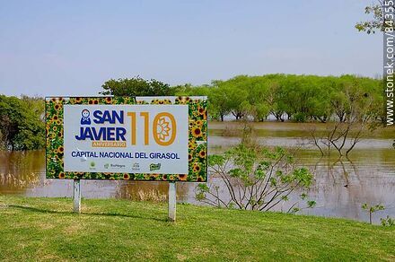 San Javier, capital nacional del girasol - Departamento de Río Negro - URUGUAY. Foto No. 84355