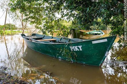 Botes en la orilla - Departamento de Río Negro - URUGUAY. Foto No. 84350