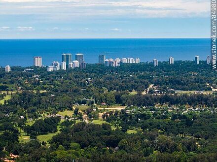Vista aérea de árboles y edificios de la rambla - Punta del Este y balnearios cercanos - URUGUAY. Foto No. 84980