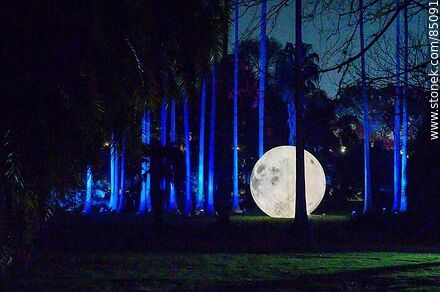 Luna llena entre los árboles - Departamento de Montevideo - URUGUAY. Foto No. 85091