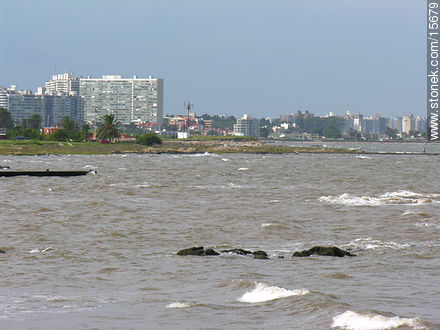  - Department of Montevideo - URUGUAY. Photo #15679