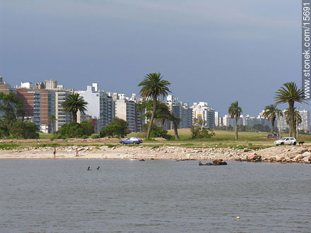  - Department of Montevideo - URUGUAY. Photo #15691