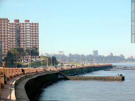  - Department of Montevideo - URUGUAY. Photo #3804