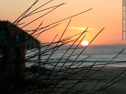 Sunset in Cabo Polonio - Department of Rocha - URUGUAY. Photo #34
