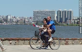 No van todos en la bici - Departamento de Montevideo - URUGUAY. Foto No. 10605