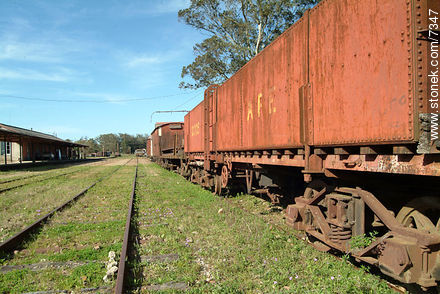 Old AFE wagons - Department of Florida - URUGUAY. Photo #7347