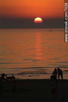 Sunset at Ramirez beach - Department of Montevideo - URUGUAY. Photo #7029