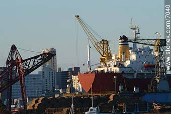 Puerto de Montevideo - Departamento de Montevideo - URUGUAY. Foto No. 7040