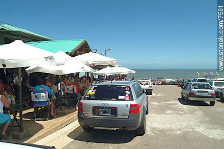  - Punta del Este and its near resorts - URUGUAY. Photo #7591