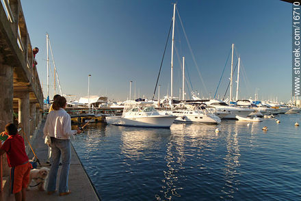 Port of Punta del Este - Punta del Este and its near resorts - URUGUAY. Photo #16710
