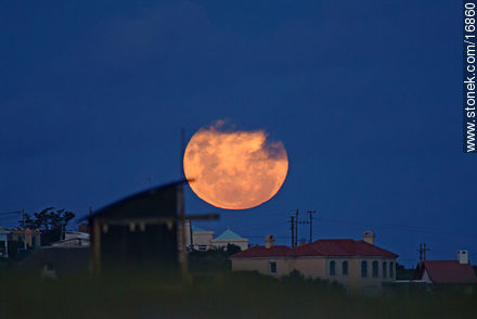 Luna llena de febrero - Punta del Este y balnearios cercanos - URUGUAY. Foto No. 16860