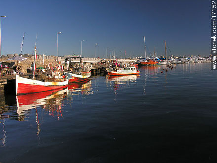 Barcos pesqueros en amarras - Punta del Este y balnearios cercanos - URUGUAY. Foto No. 17152