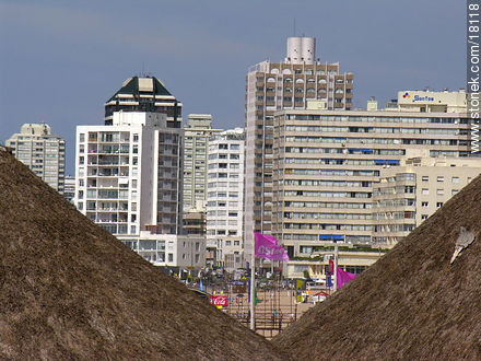 Edificios entre los quinchos - Punta del Este y balnearios cercanos - URUGUAY. Foto No. 18118