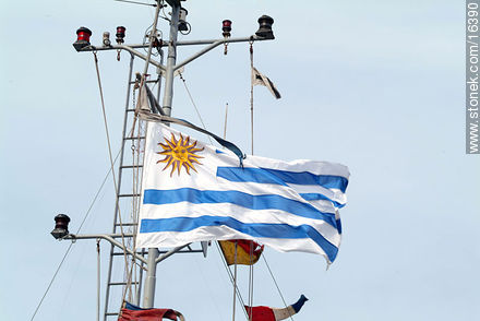 Bandera uruguaya - Departamento de Montevideo - URUGUAY. Foto No. 16390