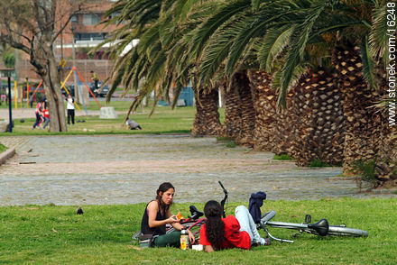  - Department of Montevideo - URUGUAY. Photo #16248