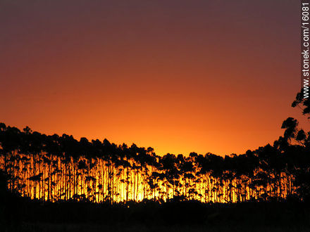 Sunset in Barra de Portezuelo - Department of Maldonado - URUGUAY. Photo #16081
