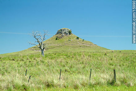 Cerro Batoví. - Departamento de Tacuarembó - URUGUAY. Foto No. 15990