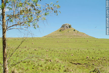 Cerro Batoví. - Departamento de Tacuarembó - URUGUAY. Foto No. 15989