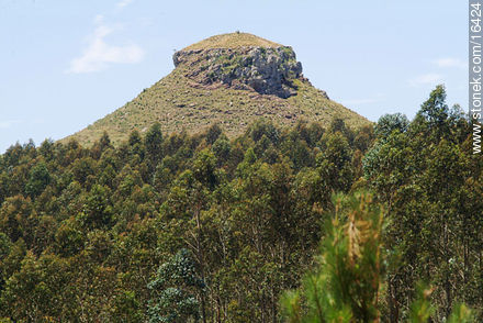 Cerro Batoví - Departamento de Tacuarembó - URUGUAY. Foto No. 16424
