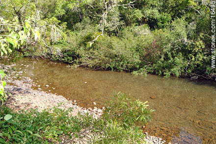 Jabonería creek. - Tacuarembo - URUGUAY. Photo #16495