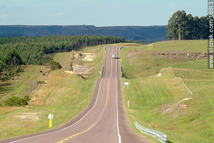 Ruta Nacional No. 5 Gral. Fructuoso Rivera - Departamento de Tacuarembó - URUGUAY. Foto No. 16513